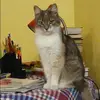 Отзыв от Карина Мельникова